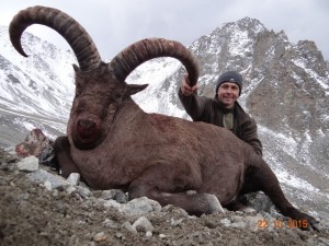 Охота на Кавказских туров (3 вида)